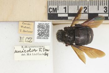 Media type: image;   Entomology 810626 Aspect: labels